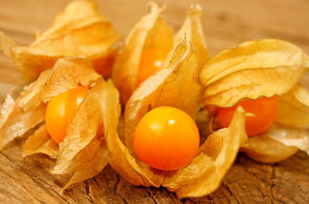 農(nóng)業(yè)自動氣象站助力菇娘規(guī)?；N植